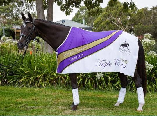 custom-printed-trophy-team-rugs-img