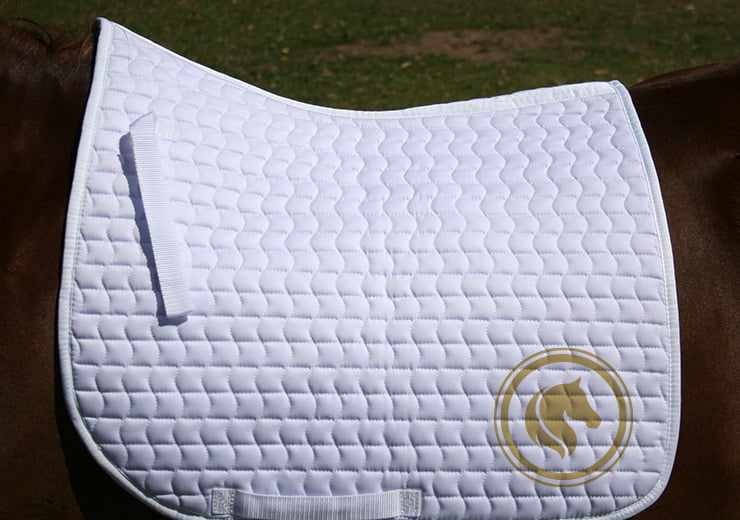 dressage-img